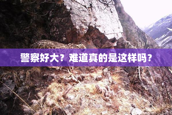 警察好大？难道真的是这样吗？