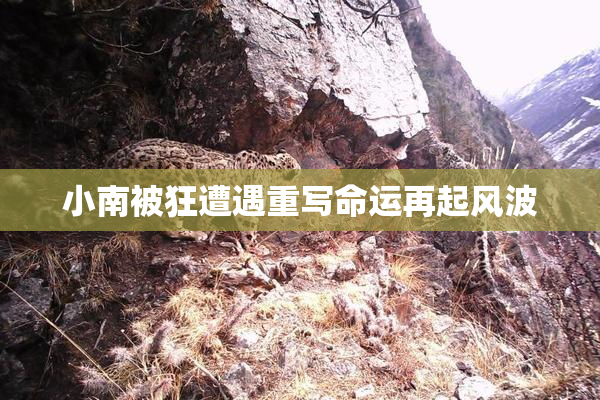 小南被狂遭遇重写命运再起风波
