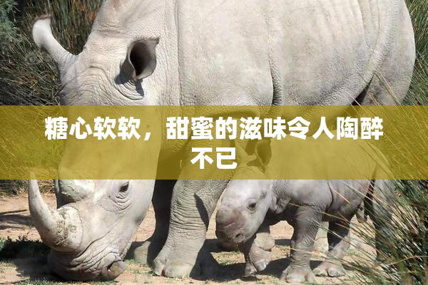 糖心软软，甜蜜的滋味令人陶醉不已