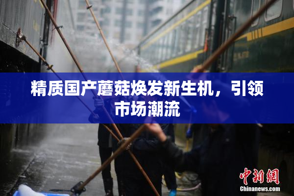 精质国产蘑菇焕发新生机，引领市场潮流