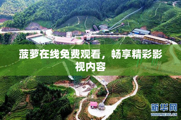 菠萝在线免费观看，畅享精彩影视内容