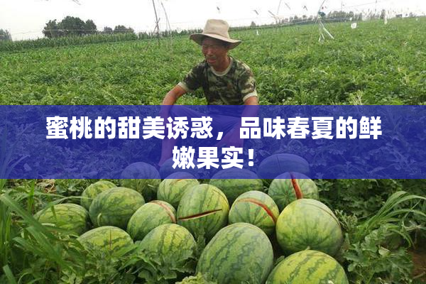 蜜桃的甜美诱惑，品味春夏的鲜嫩果实！