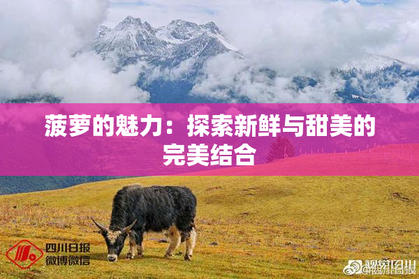 菠萝的魅力：探索新鲜与甜美的完美结合