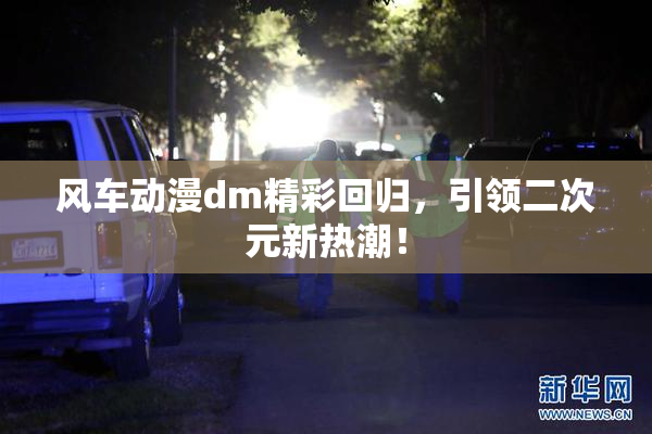 风车动漫dm精彩回归，引领二次元新热潮！