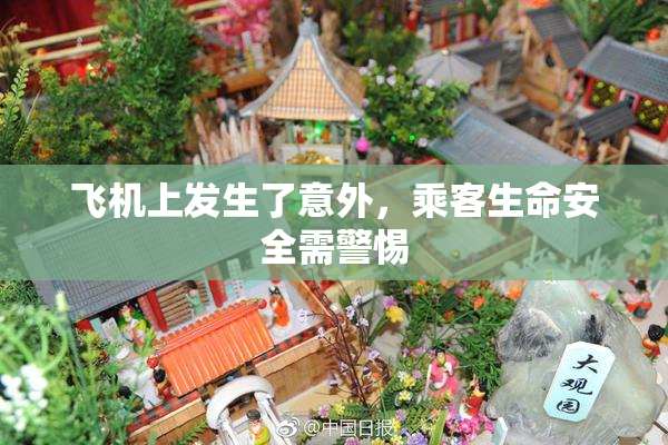 飞机上发生了意外，乘客生命安全需警惕