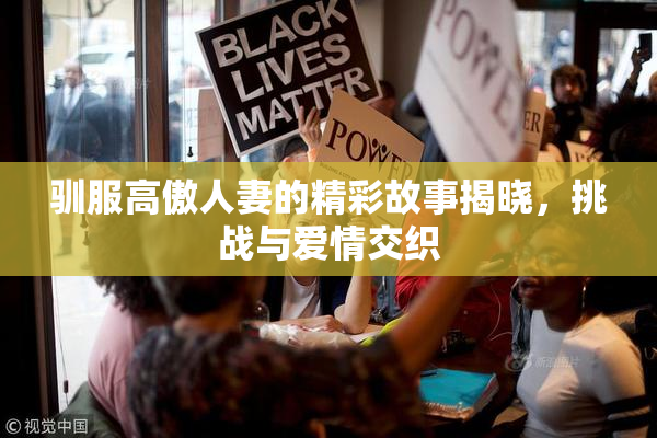 驯服高傲人妻的精彩故事揭晓，挑战与爱情交织