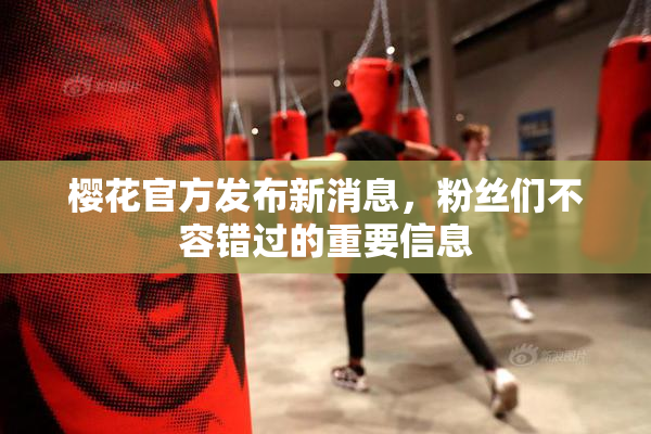 樱花官方发布新消息，粉丝们不容错过的重要信息