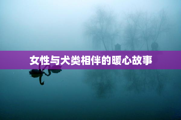 女性与犬类相伴的暖心故事