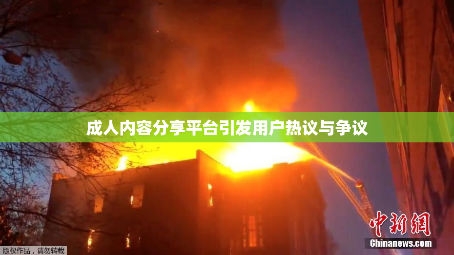 成人内容分享平台引发用户热议与争议