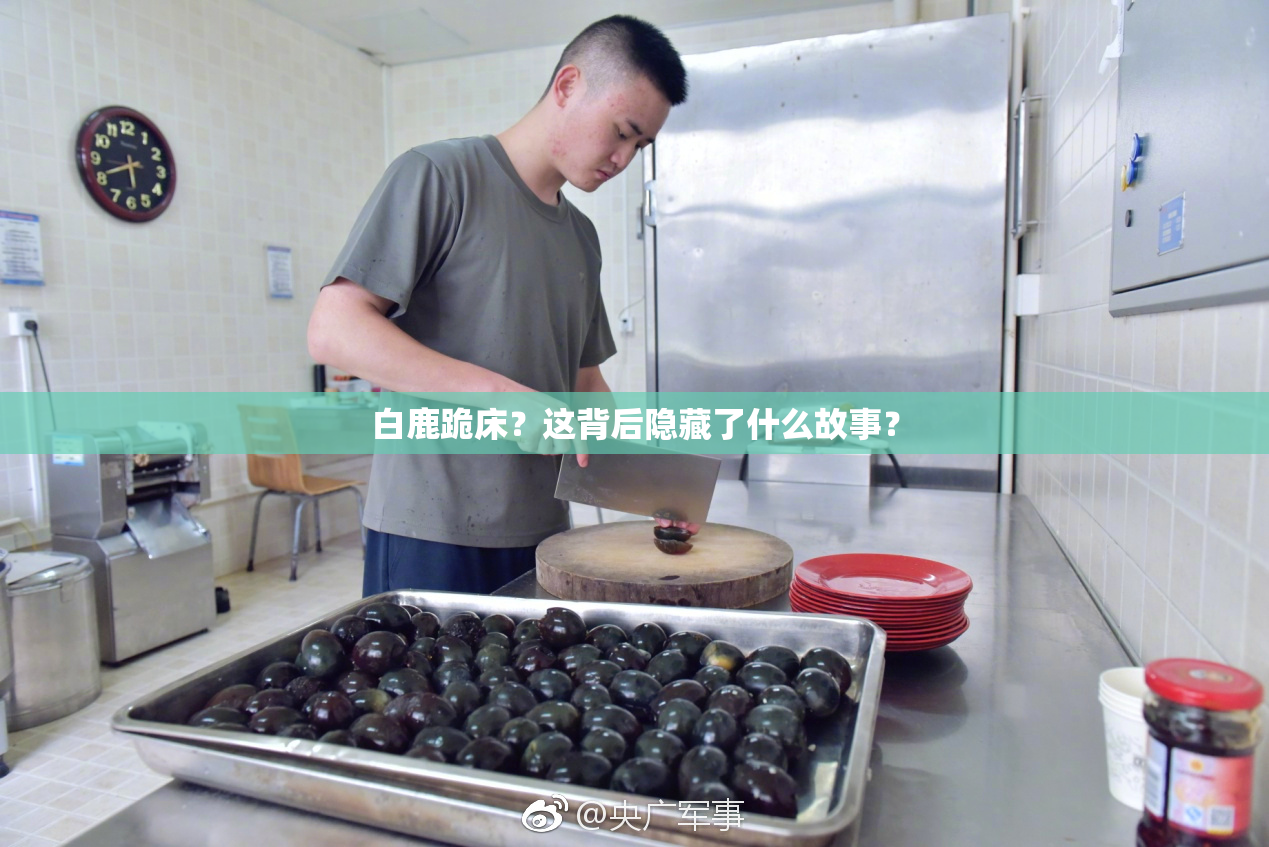 白鹿跪床？这背后隐藏了什么故事？