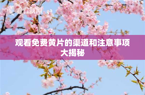 观看免费黄片的渠道和注意事项大揭秘