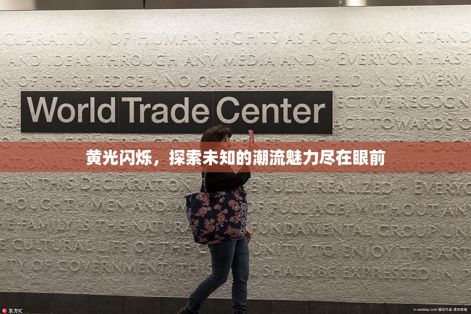 黄光闪烁，探索未知的潮流魅力尽在眼前