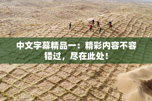 中文字幕精品一：精彩内容不容错过，尽在此处！