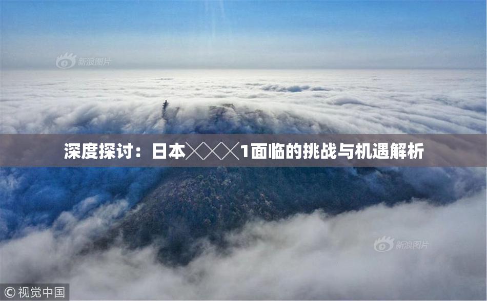 深度探讨：日本╳╳╳1面临的挑战与机遇解析