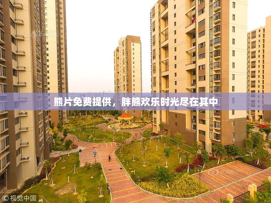 熊片免费提供，胖熊欢乐时光尽在其中