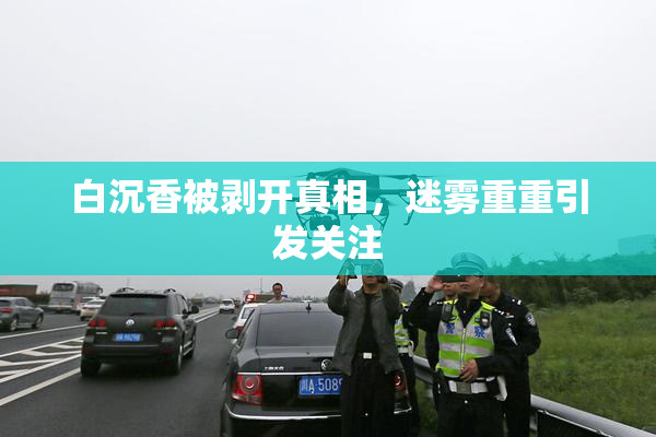 白沉香被剥开真相，迷雾重重引发关注