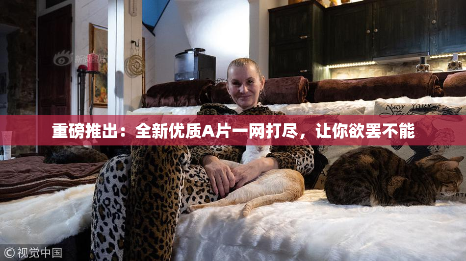 重磅推出：全新优质A片一网打尽，让你欲罢不能