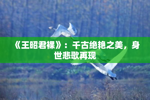 《王昭君裸》：千古绝艳之美，身世悲歌再现