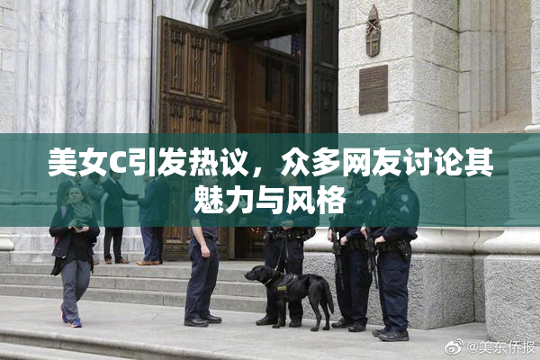 美女C引发热议，众多网友讨论其魅力与风格