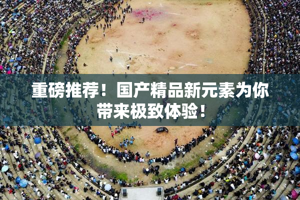 重磅推荐！国产精品新元素为你带来极致体验！