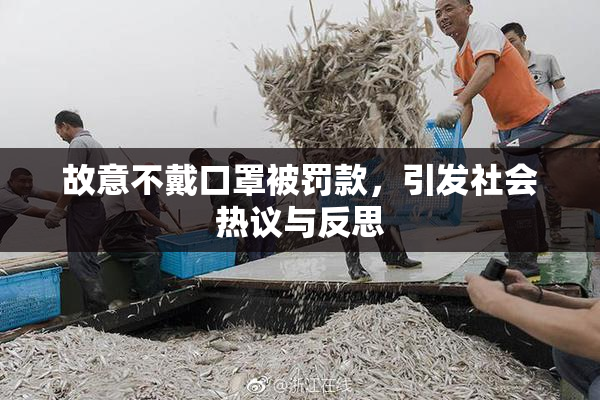 故意不戴口罩被罚款，引发社会热议与反思