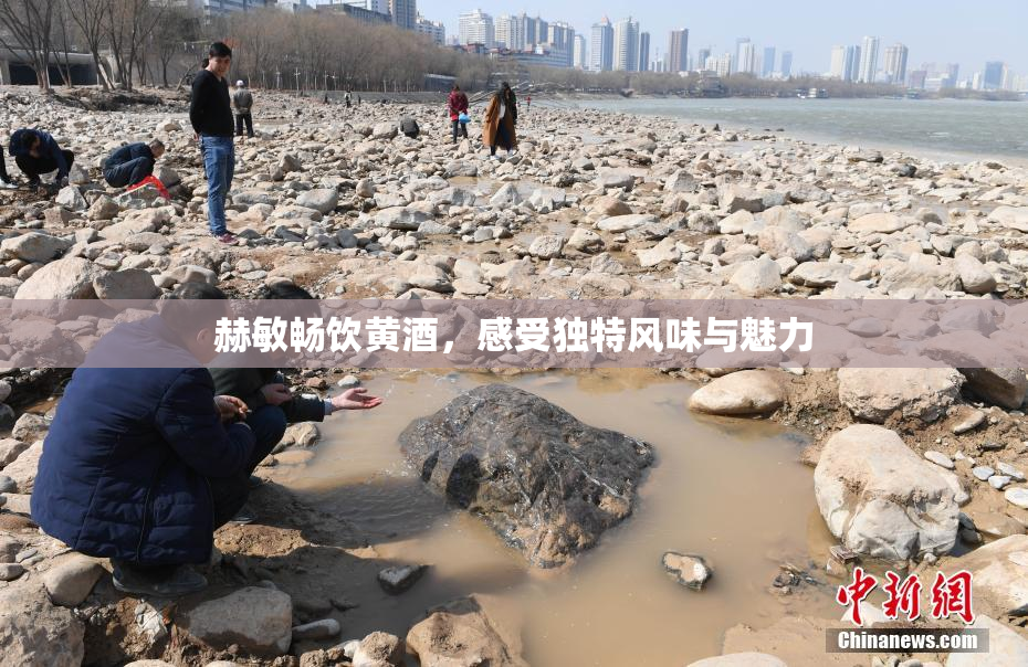 赫敏畅饮黄酒，感受独特风味与魅力