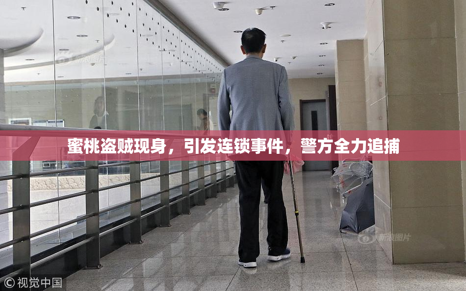 蜜桃盗贼现身，引发连锁事件，警方全力追捕