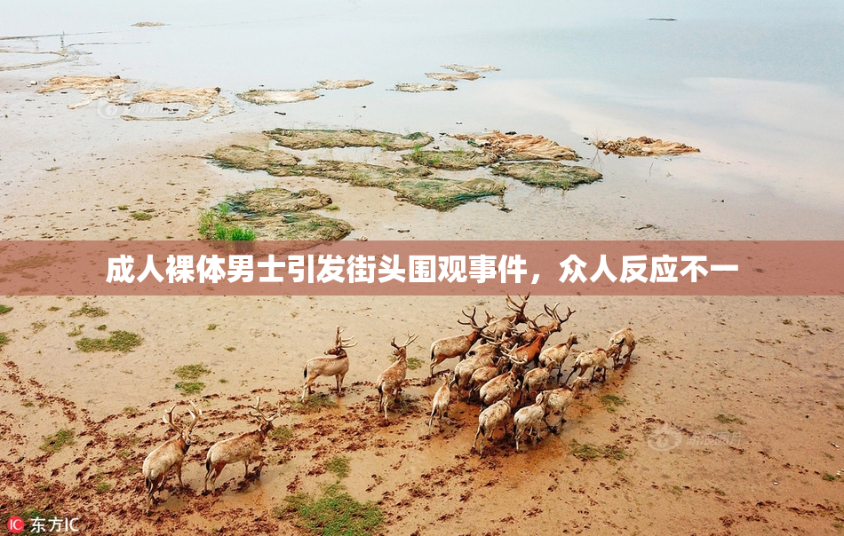 成人裸体男士引发街头围观事件，众人反应不一