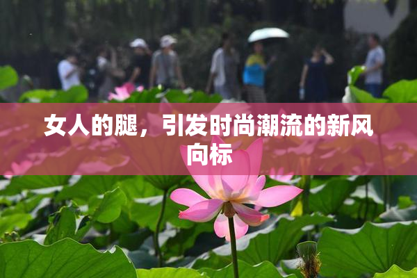 女人的腿，引发时尚潮流的新风向标