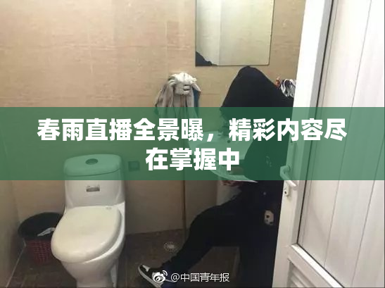 春雨直播全景曝，精彩内容尽在掌握中