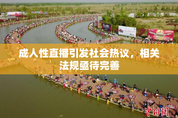成人性直播引发社会热议，相关法规亟待完善