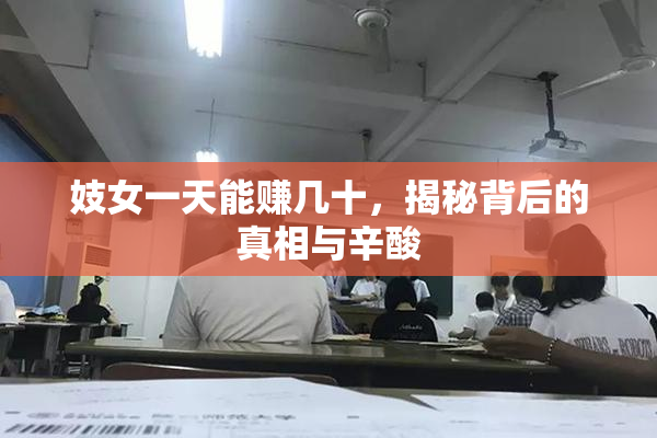 妓女一天能赚几十，揭秘背后的真相与辛酸