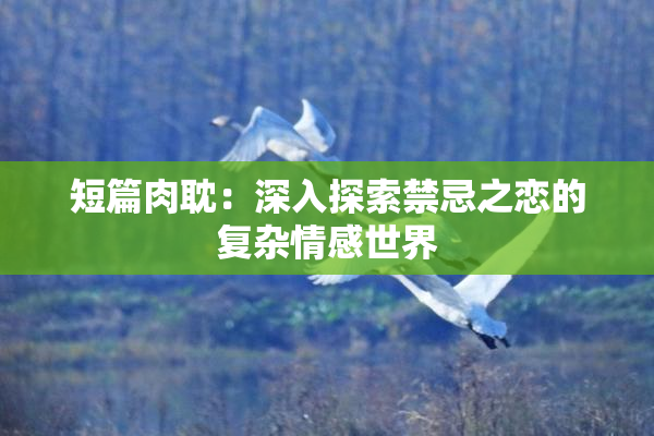 短篇肉耽：深入探索禁忌之恋的复杂情感世界