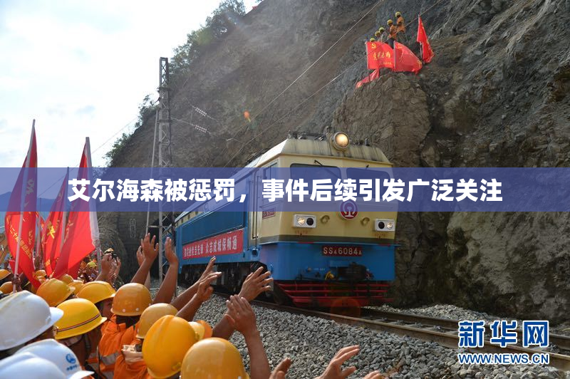 艾尔海森被惩罚，事件后续引发广泛关注