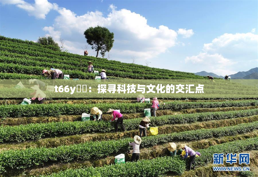 t66y逹葢：探寻科技与文化的交汇点