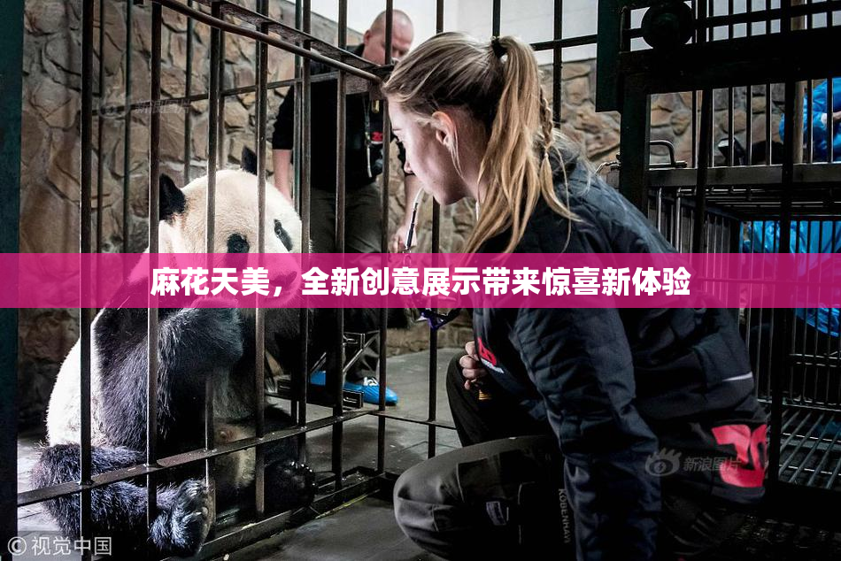 麻花天美，全新创意展示带来惊喜新体验