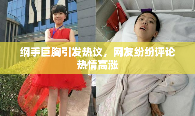 纲手巨胸引发热议，网友纷纷评论热情高涨