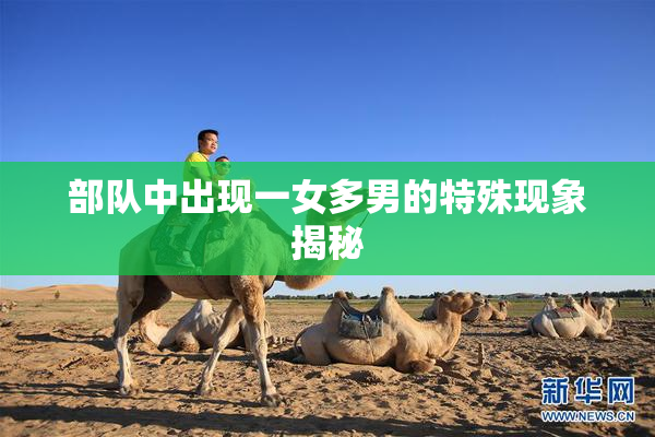 部队中出现一女多男的特殊现象揭秘