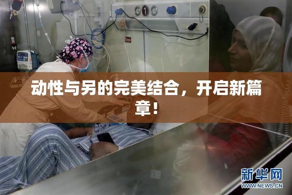 动性与另的完美结合，开启新篇章！