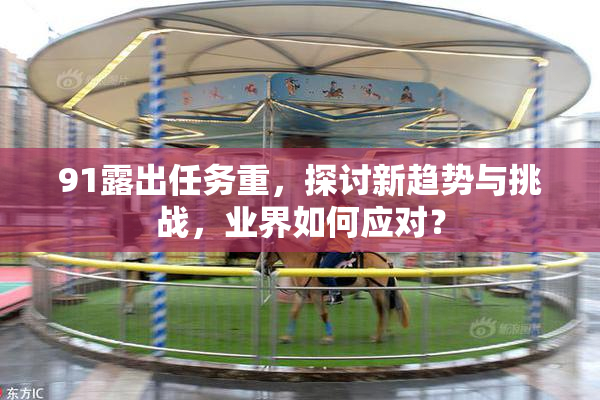 91露出任务重，探讨新趋势与挑战，业界如何应对？