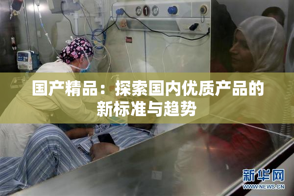 国产精品：探索国内优质产品的新标准与趋势