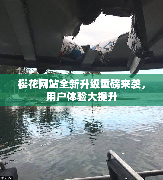 樱花网站全新升级重磅来袭，用户体验大提升