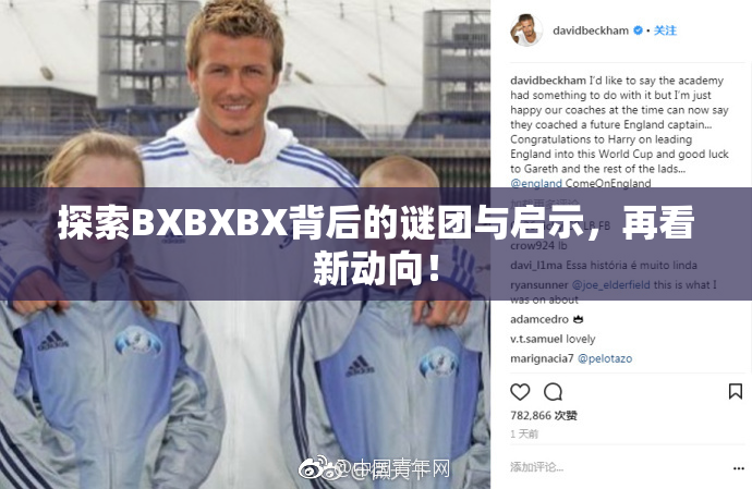探索BXBXBX背后的谜团与启示，再看新动向！