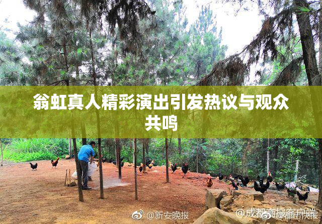 翁虹真人精彩演出引发热议与观众共鸣