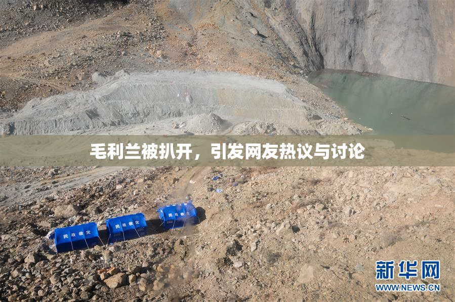 毛利兰被扒开，引发网友热议与讨论
