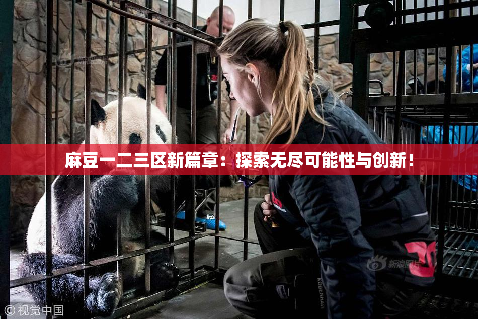 麻豆一二三区新篇章：探索无尽可能性与创新！
