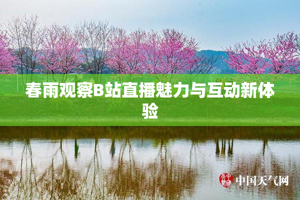 春雨观察B站直播魅力与互动新体验