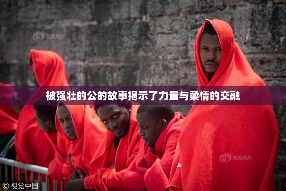 被强壮的公的故事揭示了力量与柔情的交融