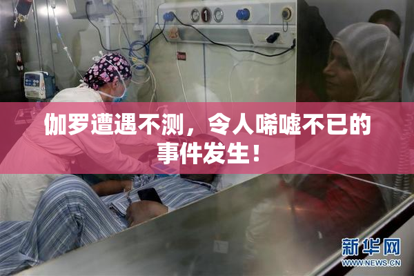 伽罗遭遇不测，令人唏嘘不已的事件发生！