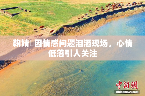 鞠婧祎因情感问题泪洒现场，心情低落引人关注